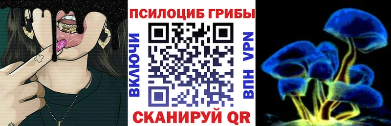 магазин продажи наркотиков  Билибино  Галлюциногенные грибы MAGIC MUSHROOMS 